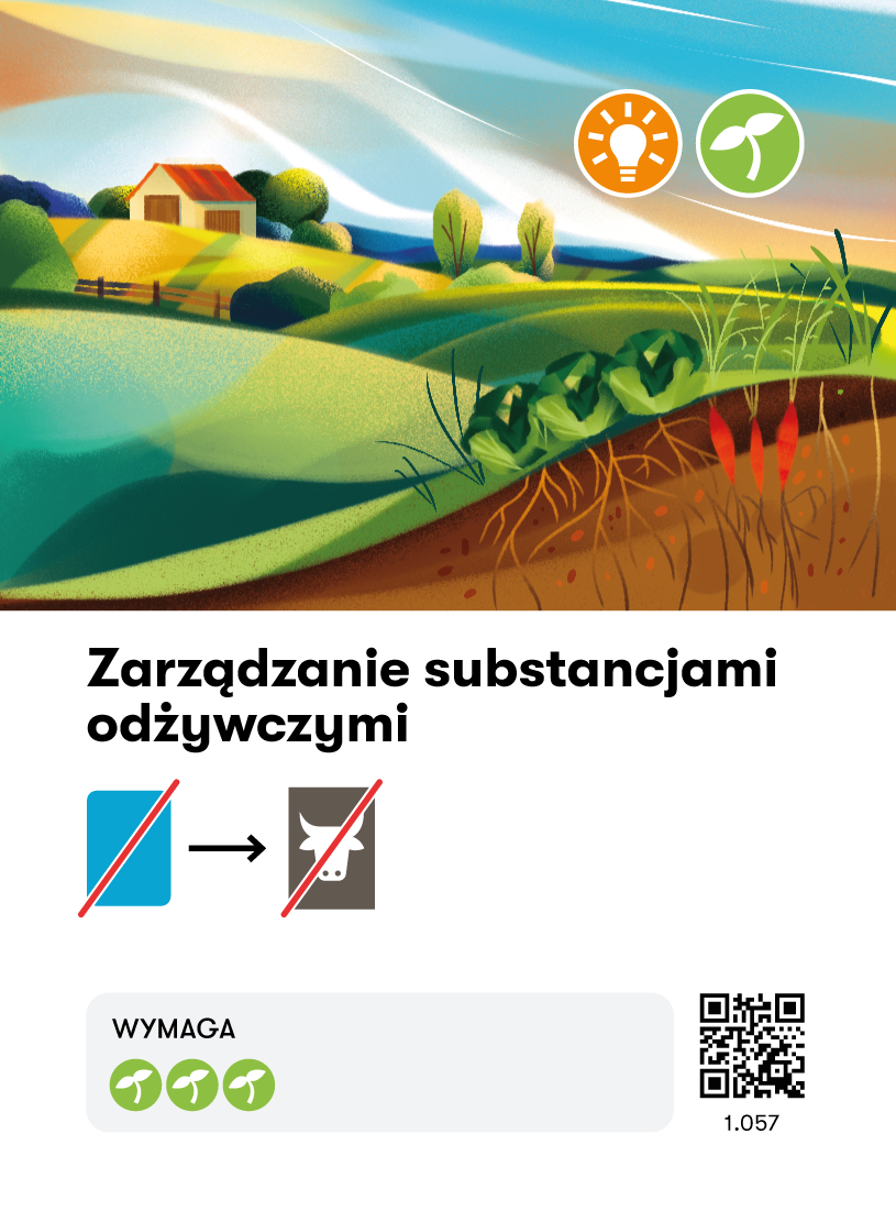 Card Rules Image