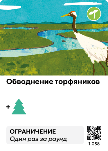 Card Rules Image