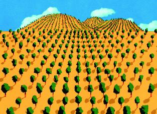 Massive Tree Farms card artwork